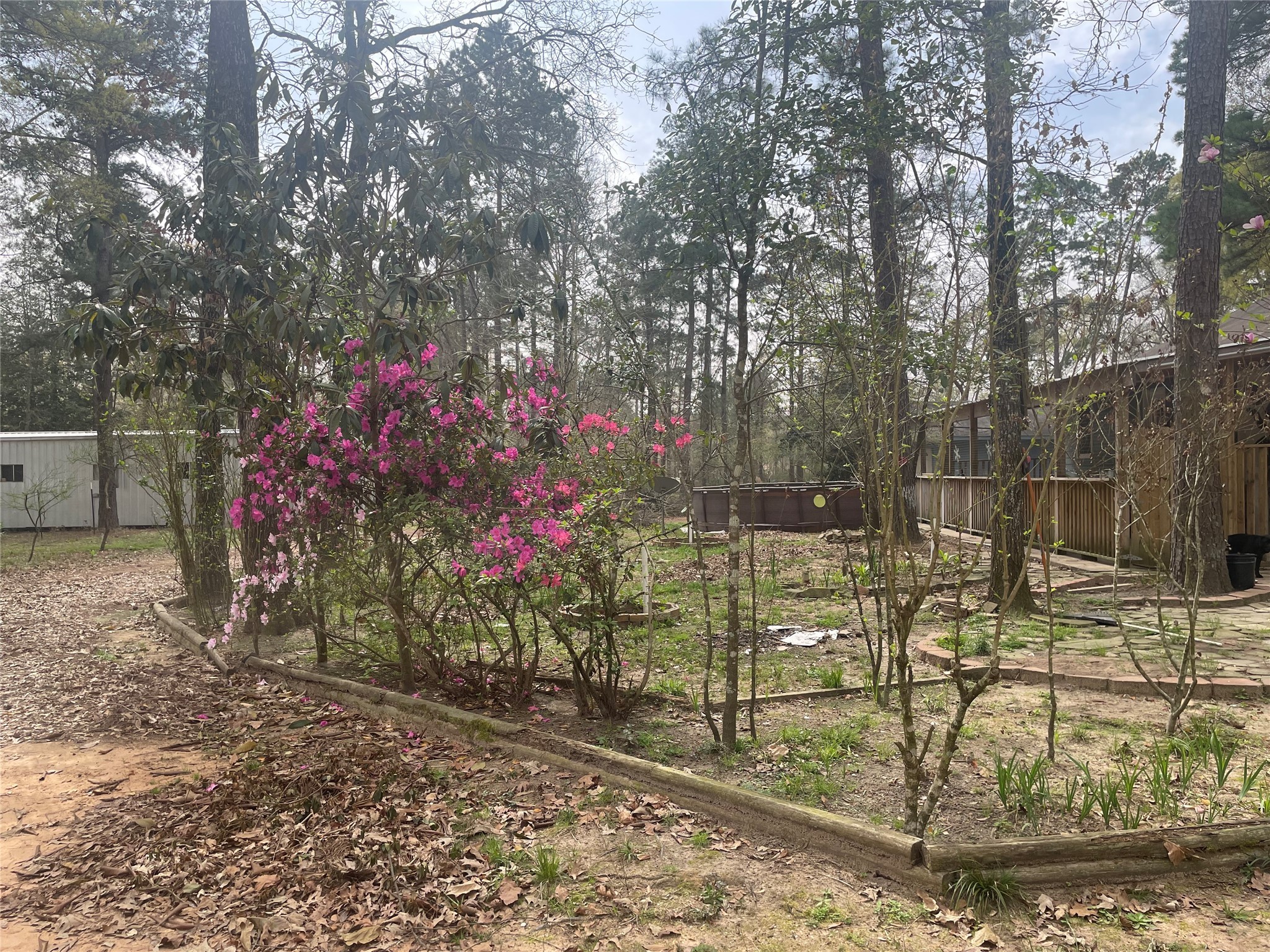 648 Oak Ridge Cleveland, TX 77328 - Photo 15 of 18 Various fruit trees.
No HOA.