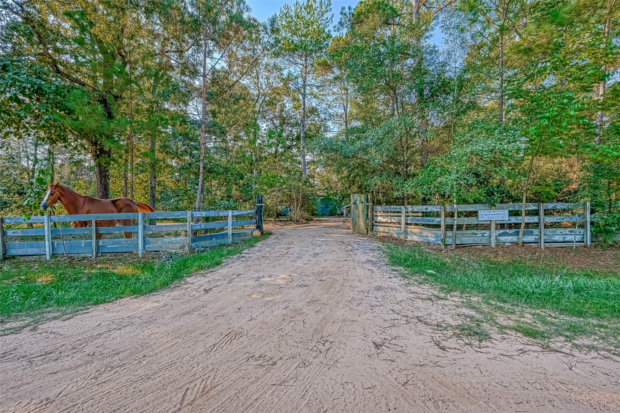 648 Oak Ridge Cleveland, TX 77328 - Photo 2 of 18 Virtually staged horse.
No HOA, Unrestricted.
