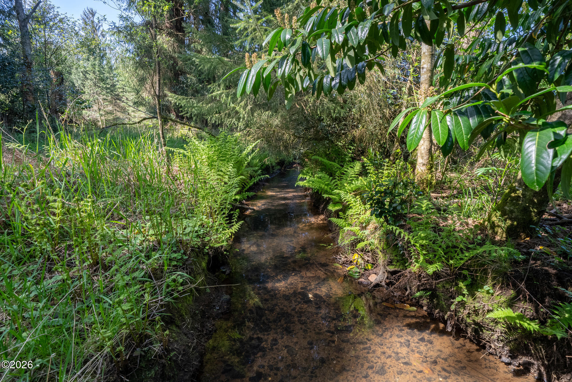 6040 Brickyard Road Tillamook, OR 97141 - Photo 34 of 41 Creek