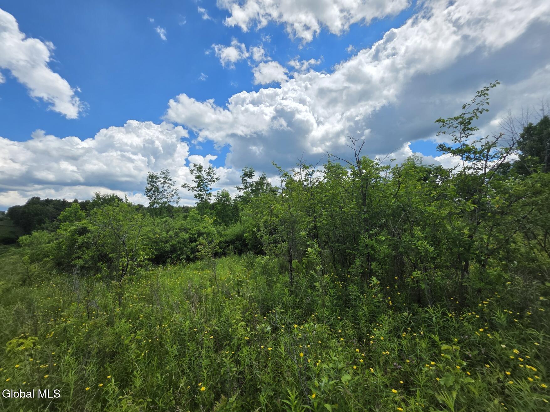419 Halbert Hill Road Butternuts, NY 13843 - Photo 39 of 48 20260617_123737