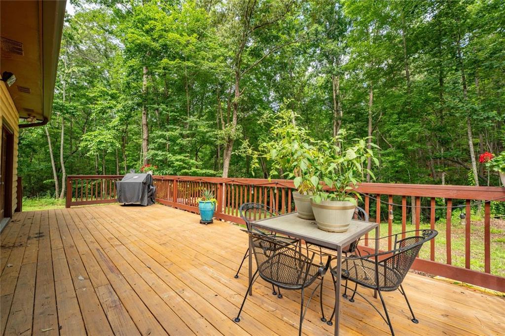 465 Waters Edge Clarkesville, GA 30523 - Photo 28 of 46
