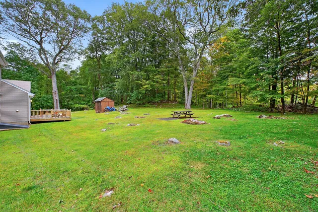 a view of a park with a tree