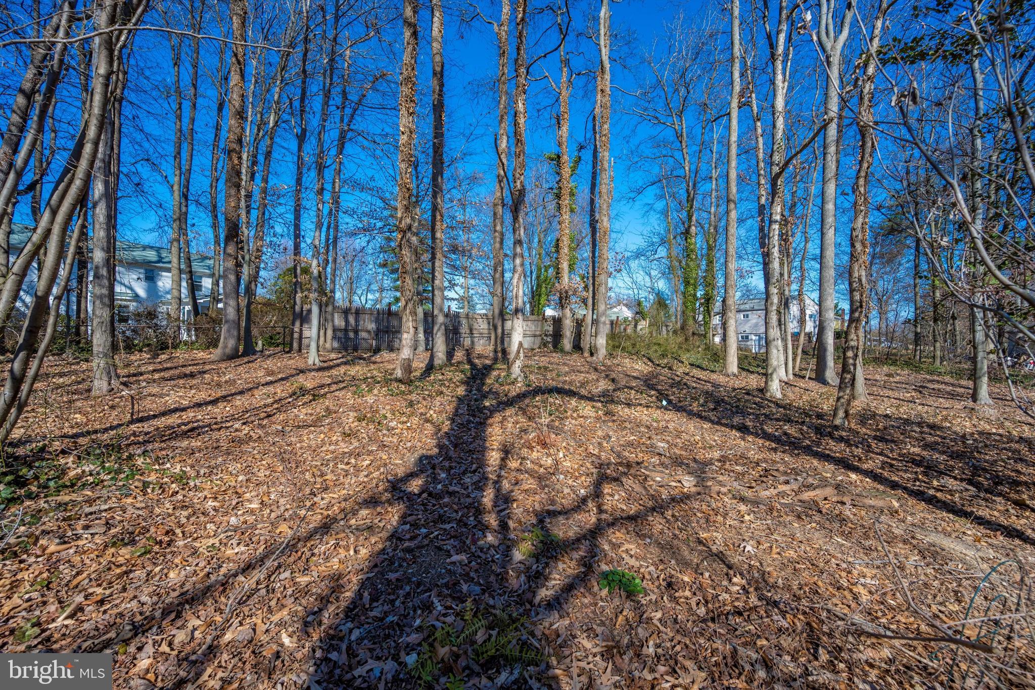 2508 Falling Brook Terrace Adelphi, MD 20783 - Photo 55 of 64