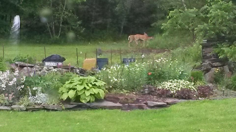 5 Russell Road Fairfax, VT 05444 - Photo 12 of 26