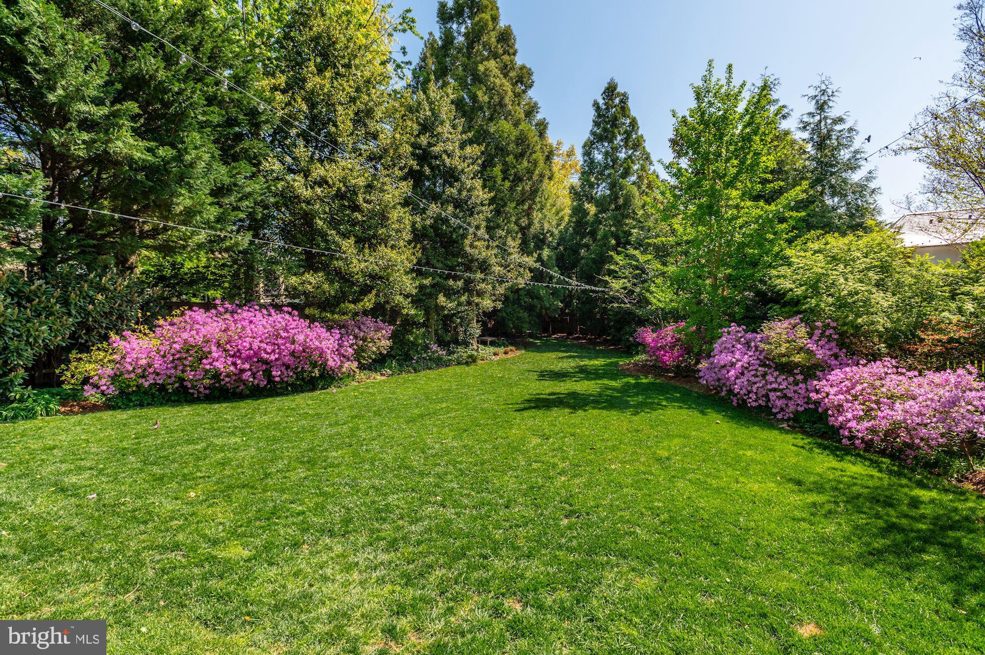 7505 Exeter Road Bethesda, MD 20814 - Photo 3 of 33 Incredible Rear Garden!