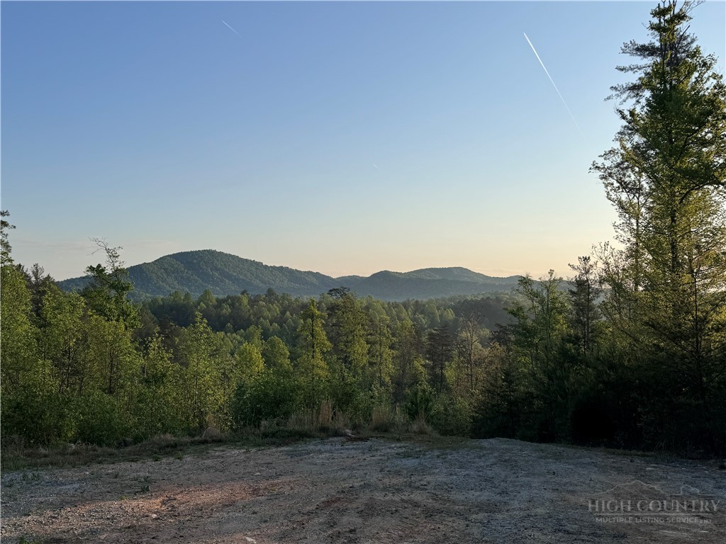 4229 Grandin Road Lenoir, NC 28645 - Photo 3 of 46 Gallery Image 3
