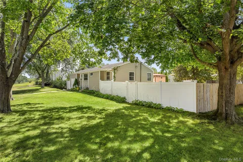 a view of a backyard with large trees