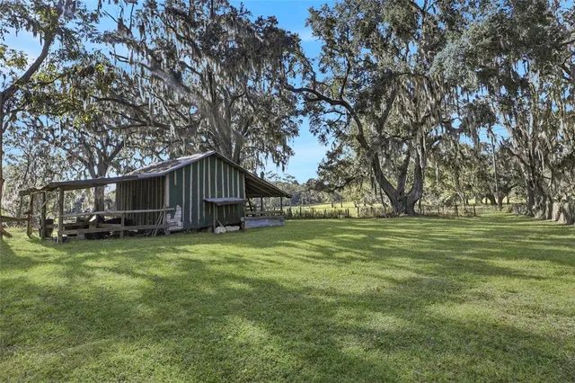 a living room with furniture or couch and a wooden floor