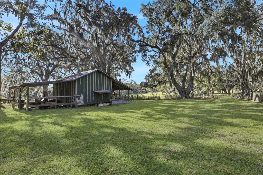 6109 Southwest Elim Church Road Fort White, FL 32038 - Photo 6 of 80