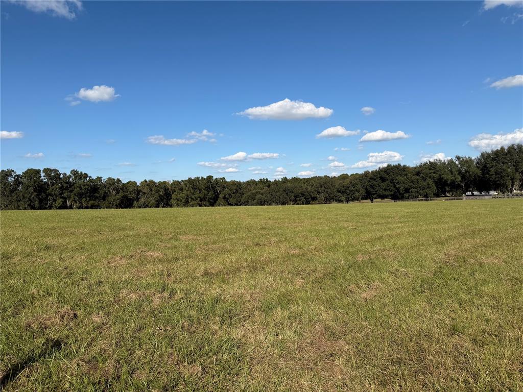 6109 Southwest Elim Church Road Fort White, FL 32038 - Photo 64 of 80