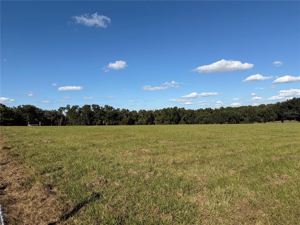 6109 Southwest Elim Church Road Fort White, FL 32038 - Photo 65 of 80