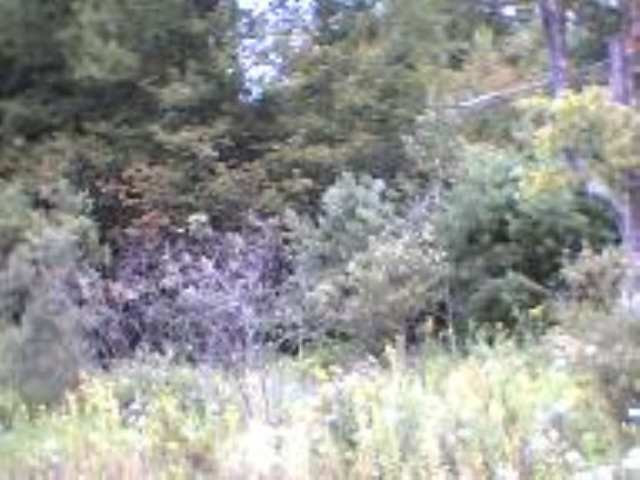 0 Bush Road Gilboa, NY 12076 - Photo 1 of 3 Photo 1