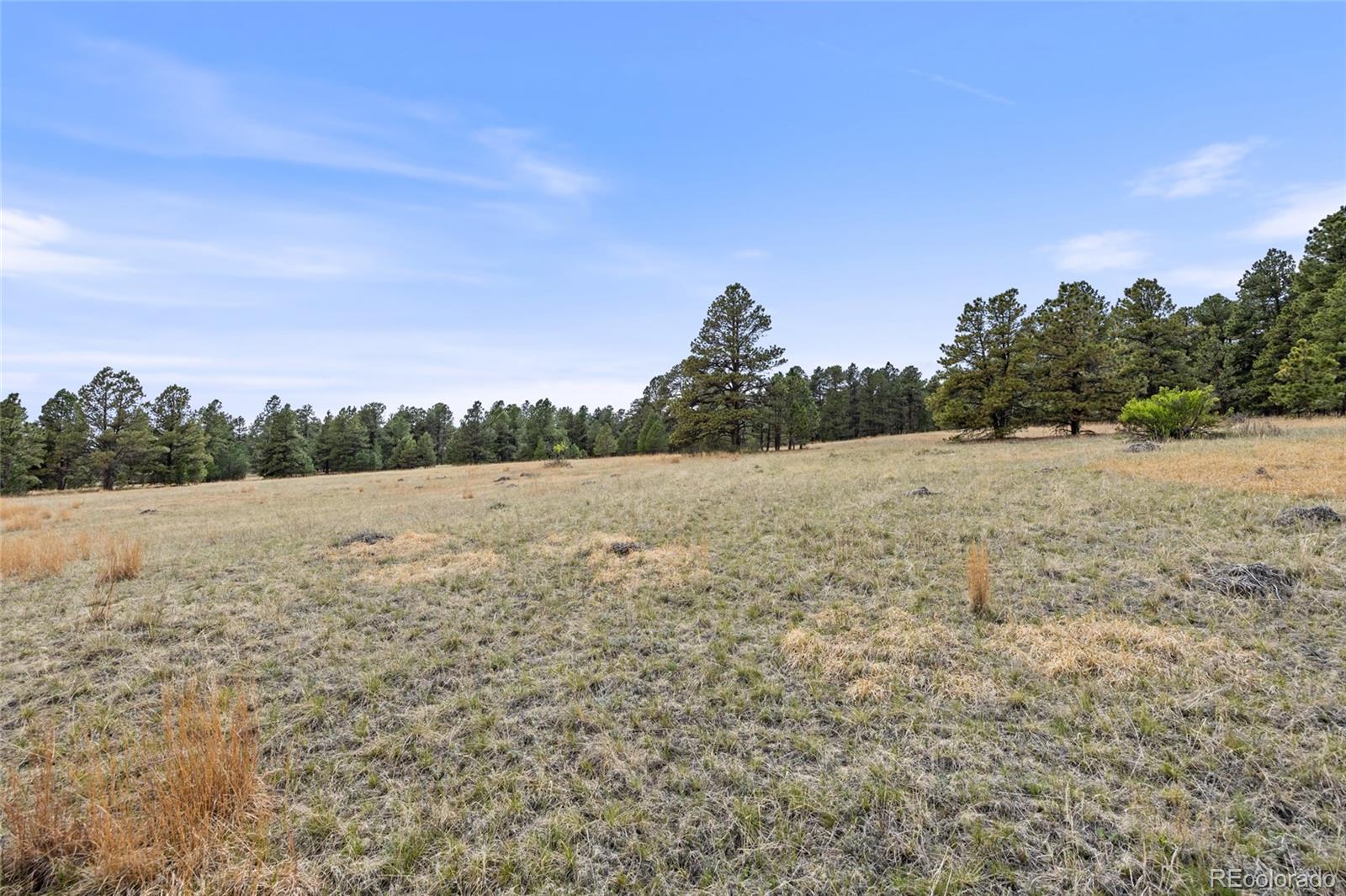 8653 North Teacup Road Elbert, CO 80106 - Photo 6 of 19 Gallery Image 6