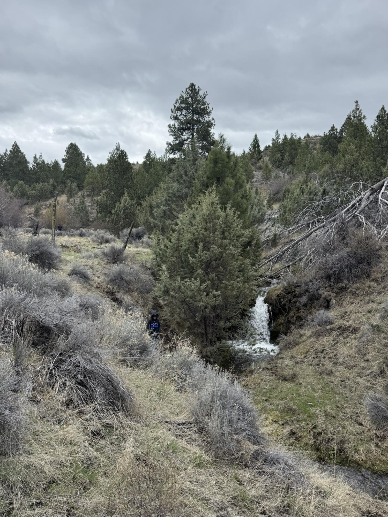 0 Southeast Grizzly Road, Unit 1215000000100 Madras, OR 97741 - Photo 2 of 39 a view of a dry field