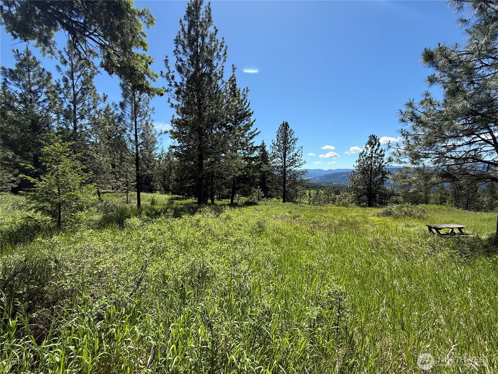5 Hidden Spring Ranch Road Republic, WA 99166 - Photo 18 of 22