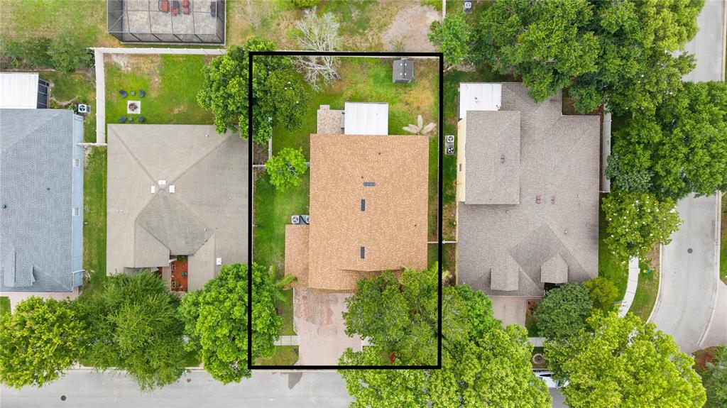 6932 Gray Catbird Loop Wesley Chapel, FL 33545 - Photo 11 of 66