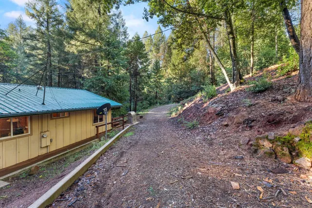 a view of a yard with large trees