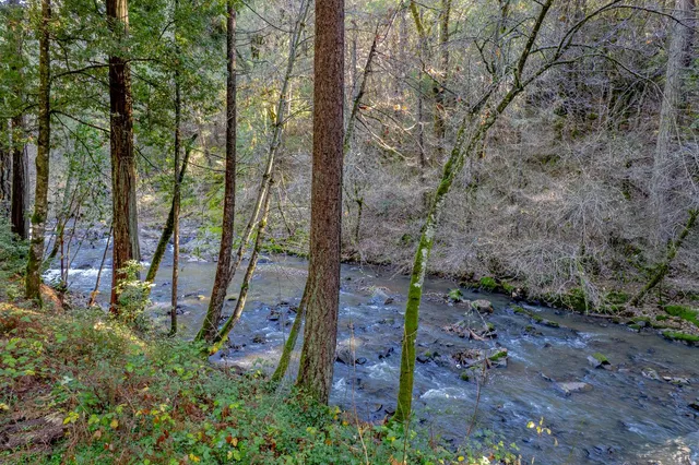 a view of an outdoor space