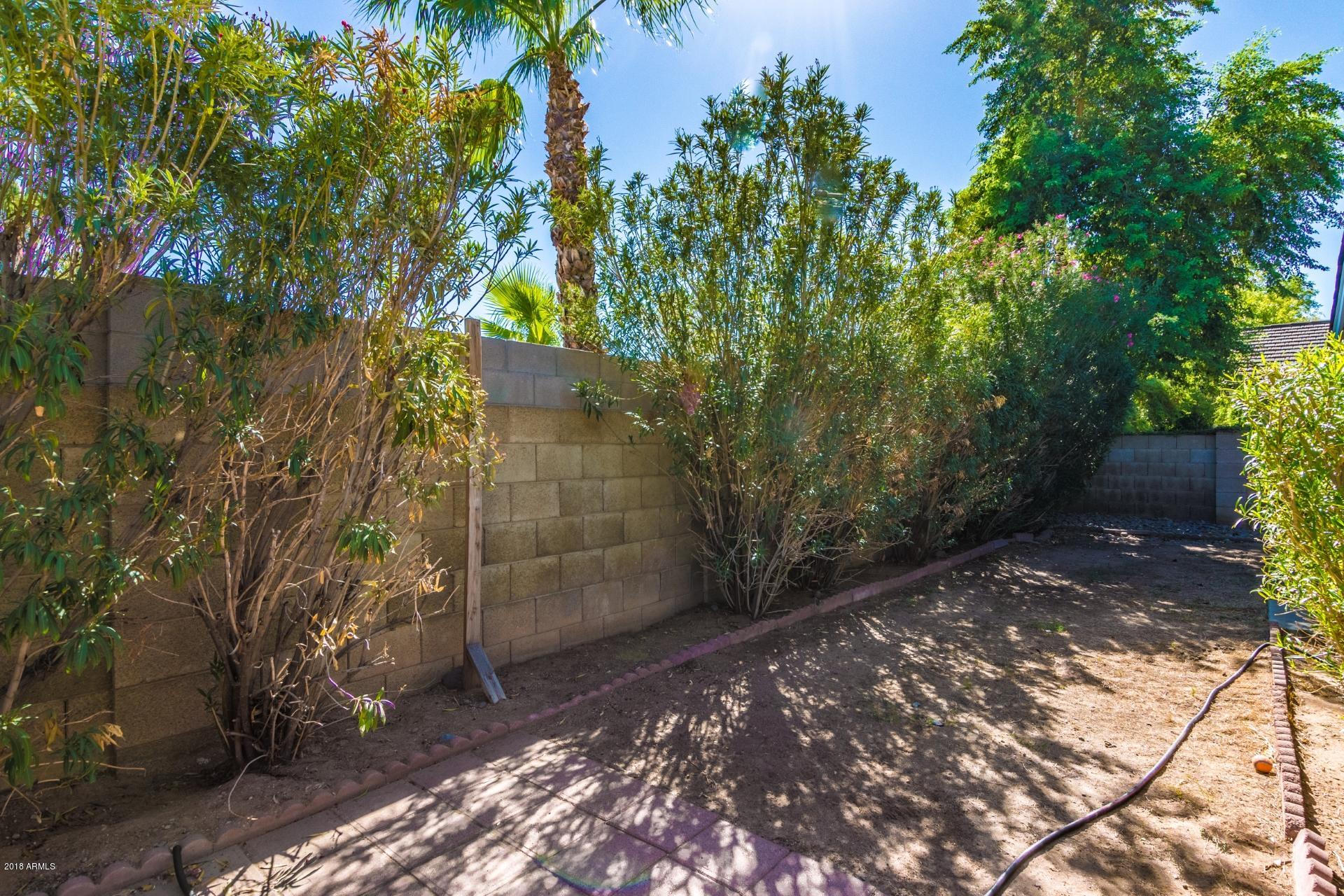 119 East Danbury Road Phoenix, AZ 85022 - Photo 15 of 18 Back Yard Has Drip System