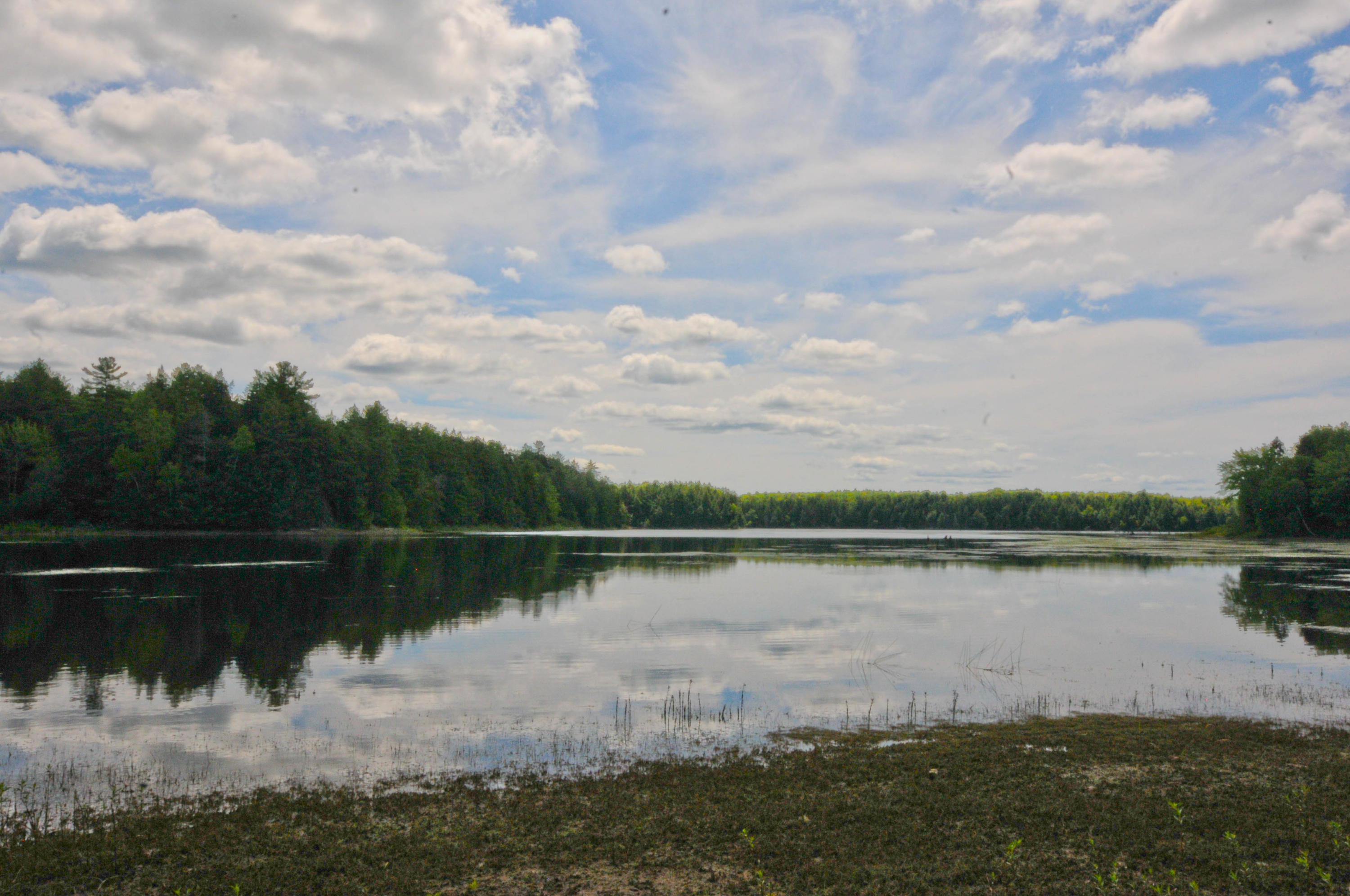 15 Union River Road Mariaville, ME 04605 - Photo 28 of 41 DSC_5611