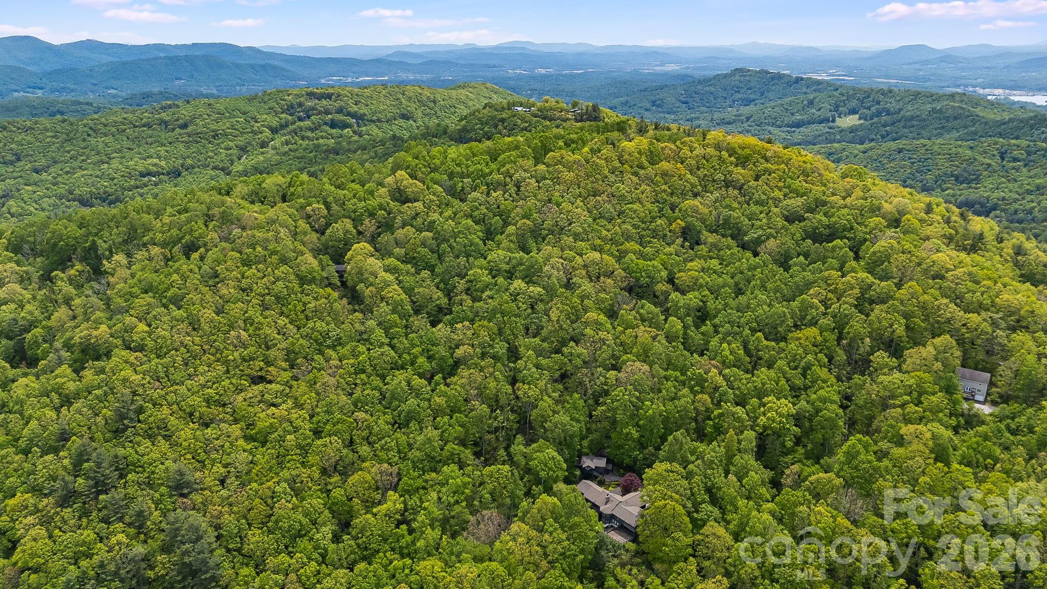 24 Smokey Road Asheville, NC 28803 - Photo 44 of 48 Gallery Image 44