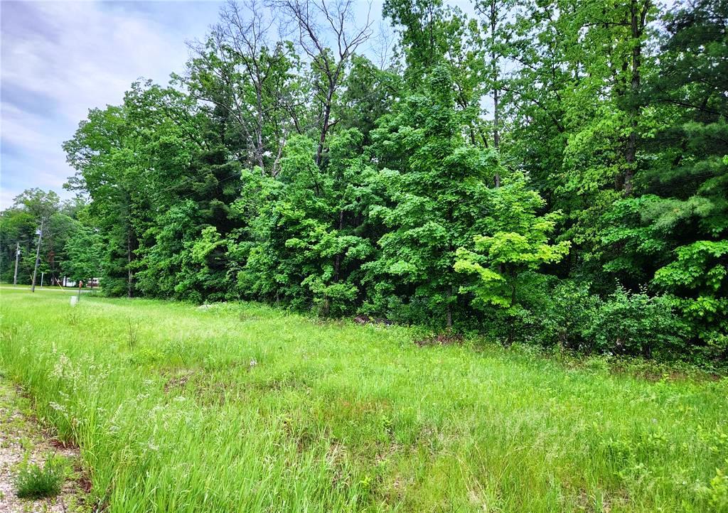Parcel #1 Parcel Road Howard City, MI 49329 - Photo 10 of 12 8