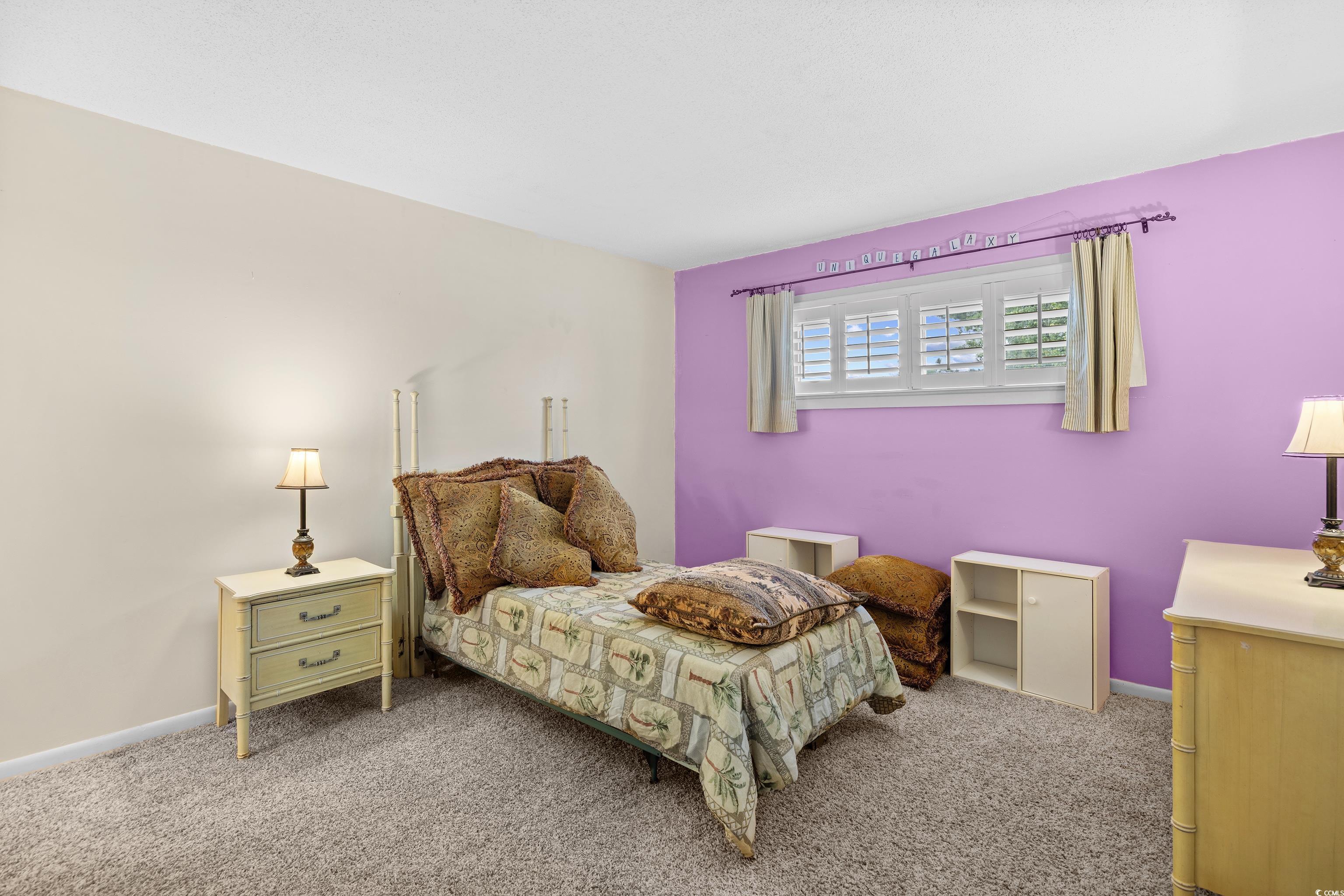 500 Eagle Way, Unit 4 Little River, SC 29566 - Photo 11 of 19 Bedroom featuring carpet floors