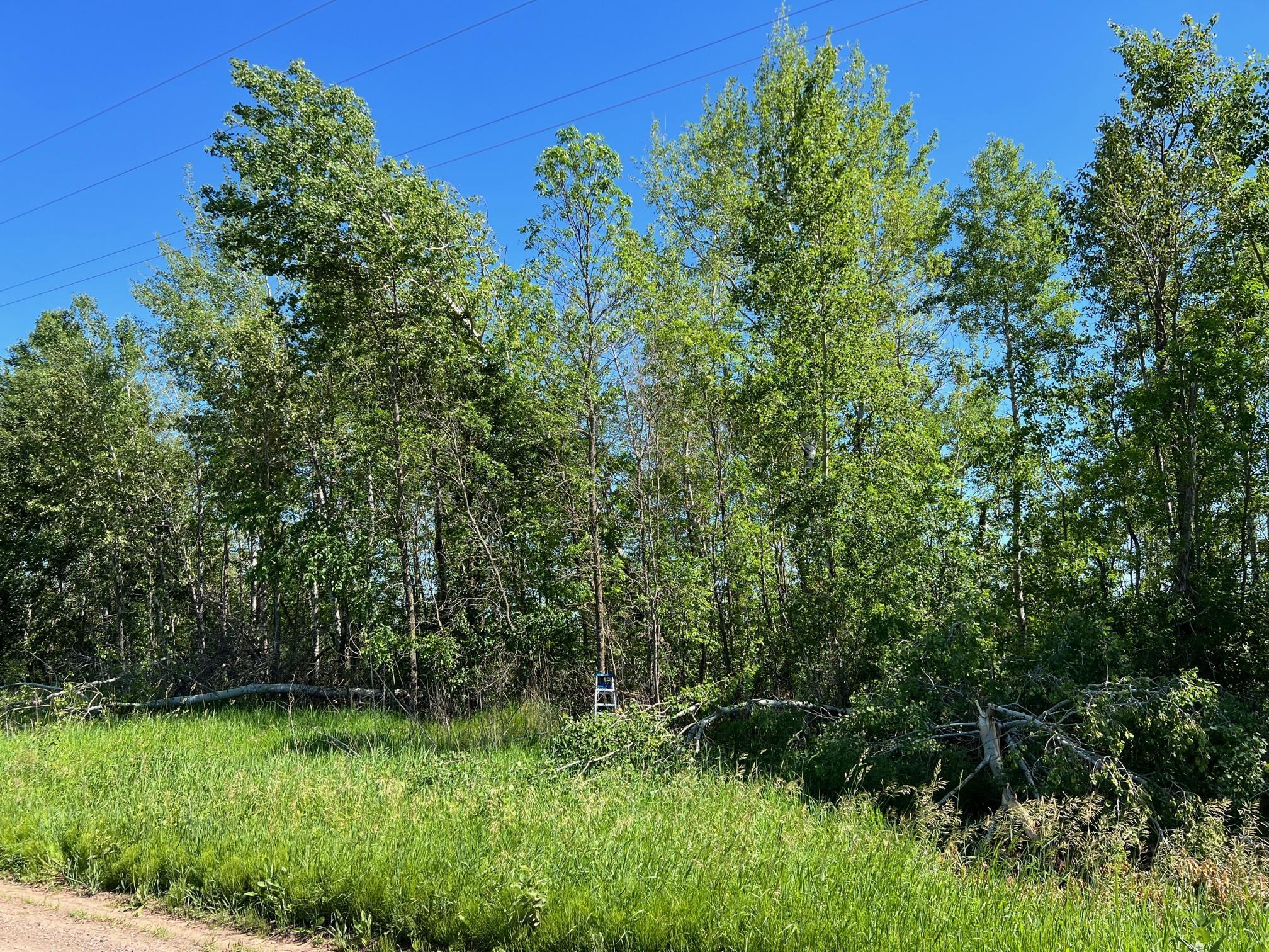 Tbd Cross Park Road Hinckley, MN 55037 - Photo 13 of 21