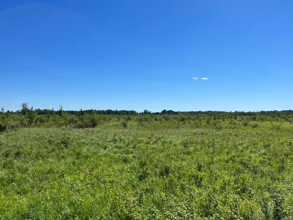 $229,900 | Tbd Cross Park Road, Hinckley, MN 55037
