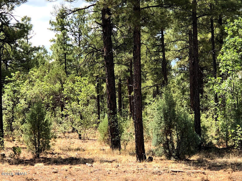 1 South Woolford Road Show Low, AZ 85901 - Photo 5 of 12