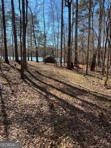 a view of a backyard with of trees