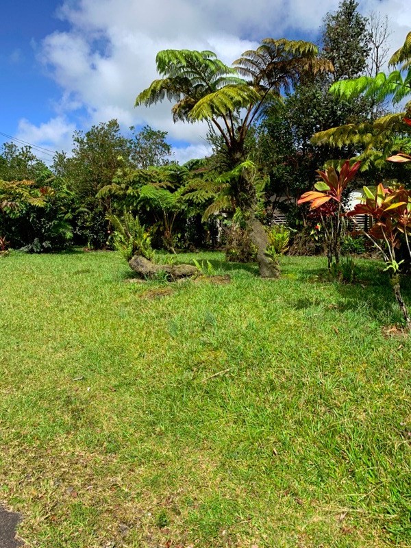 17-1054 Old Volcano Road Mountain View, HI 96771 - Photo 2 of 9