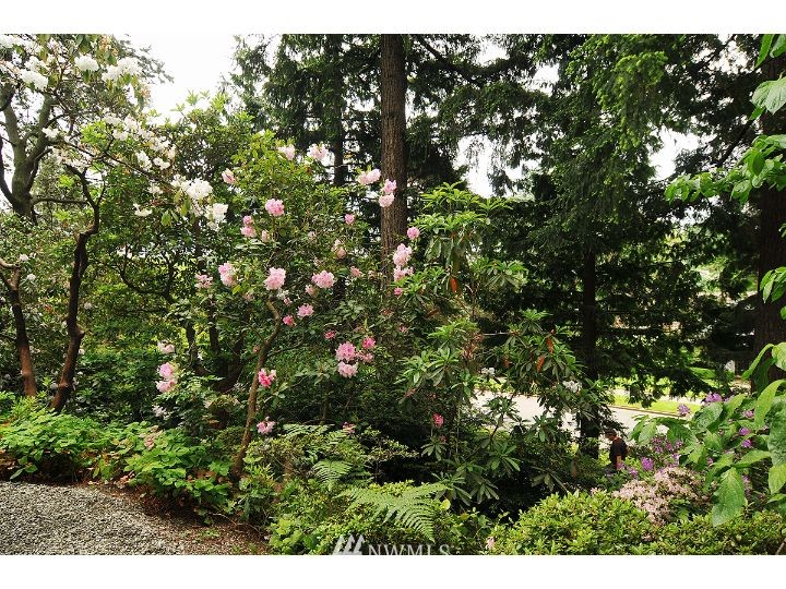 5524 Northeast Windermere Road Seattle, WA 98105 - Photo 15 of 15