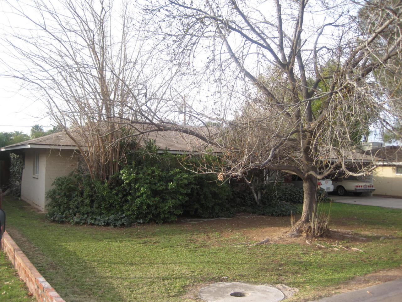 133 East Royal Palm Road Phoenix, AZ 85020 - Photo 4 of 4 Front Side