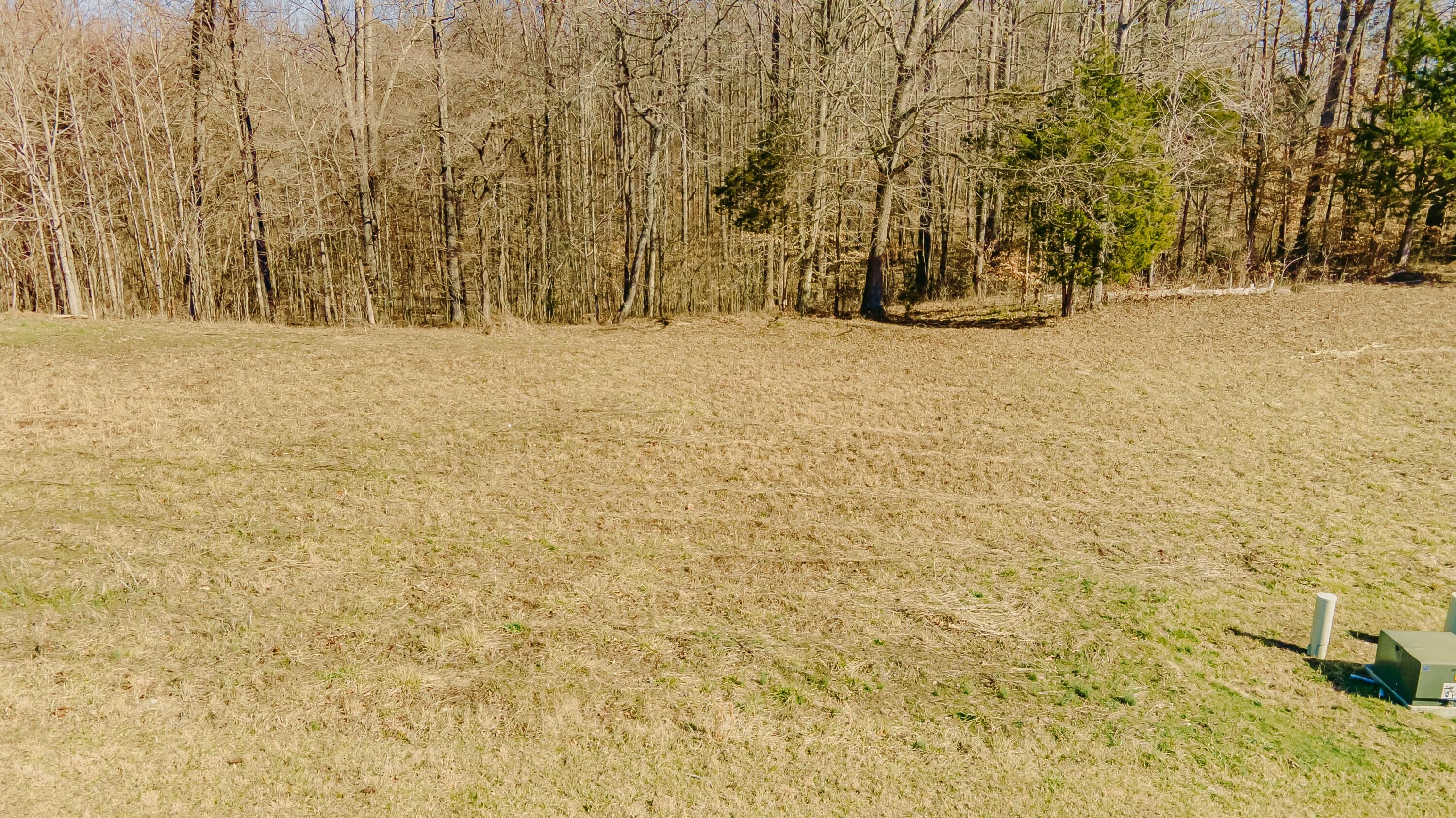 1919 South Shepola Road Nancy, KY 42544 - Photo 9 of 33 tempImageEV3IA6
