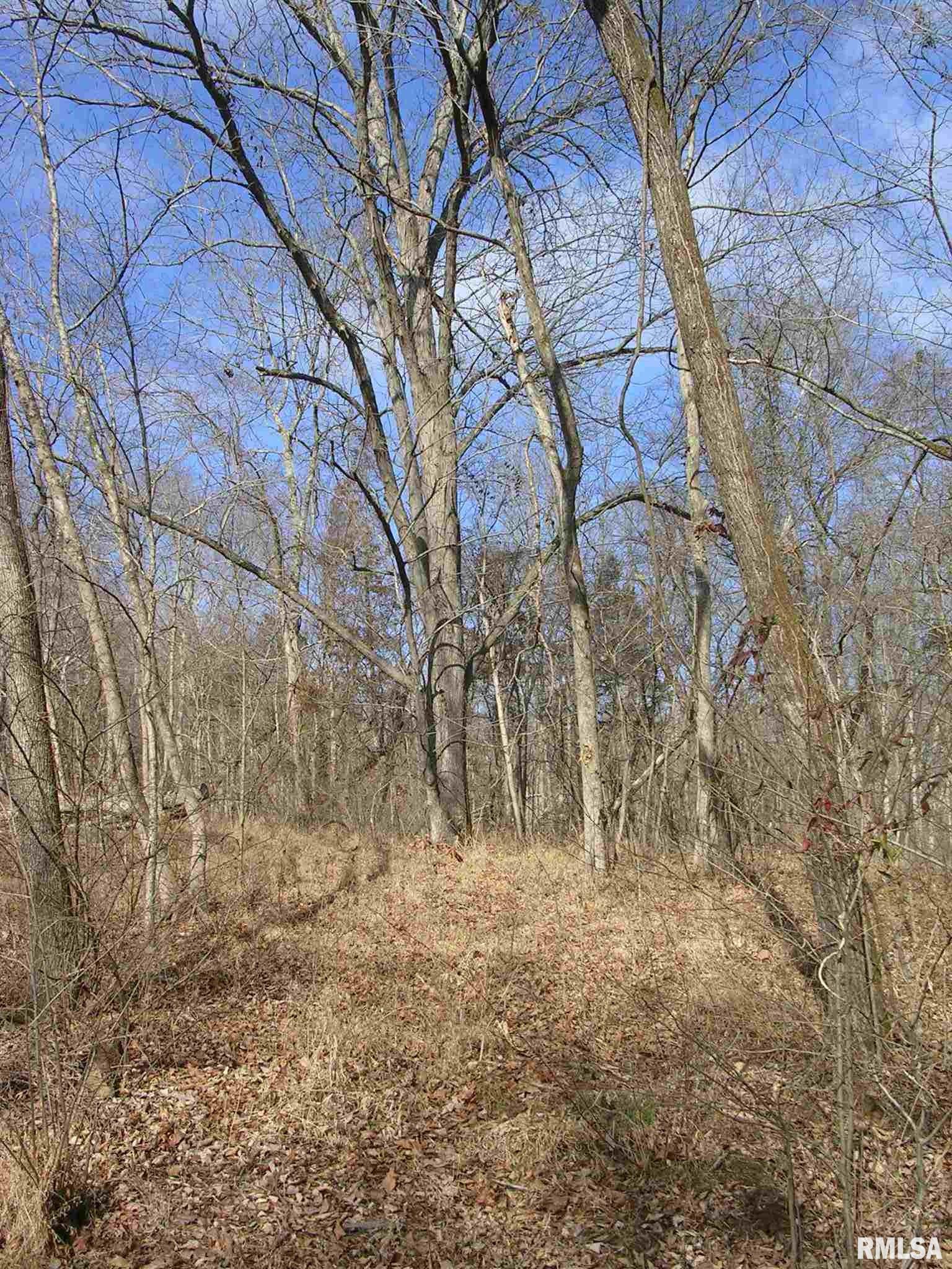 Pleasant Ridge Road Vienna, IL 62995 - Photo 23 of 27