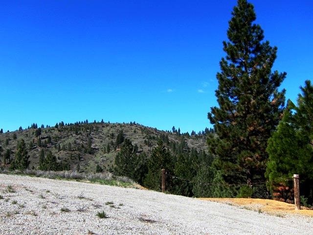 112 Cedar Ridge Road, Unit 2 Portola, CA 96122 - Photo 5 of 8
