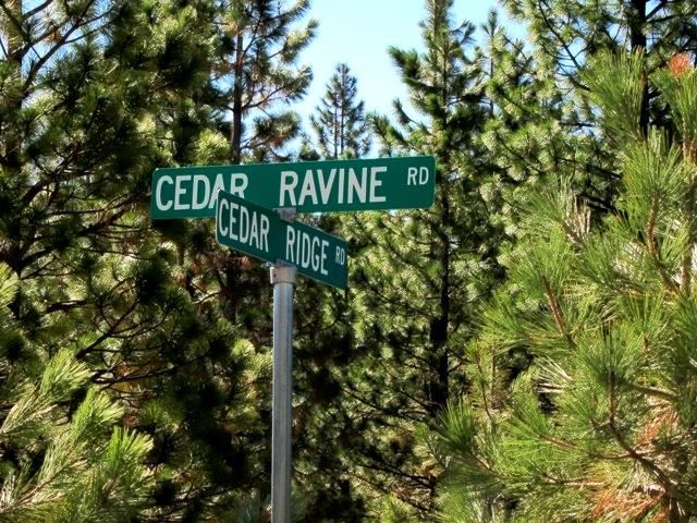 112 Cedar Ridge Road, Unit 2 Portola, CA 96122 - Photo 8 of 8