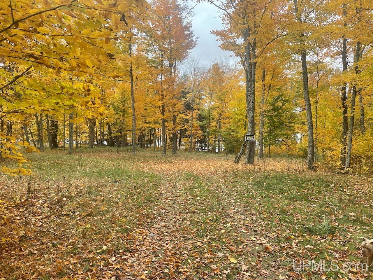 Tbd University Road, Unit LOT 13 Iron River, MI 49935 - Photo 3 of 28