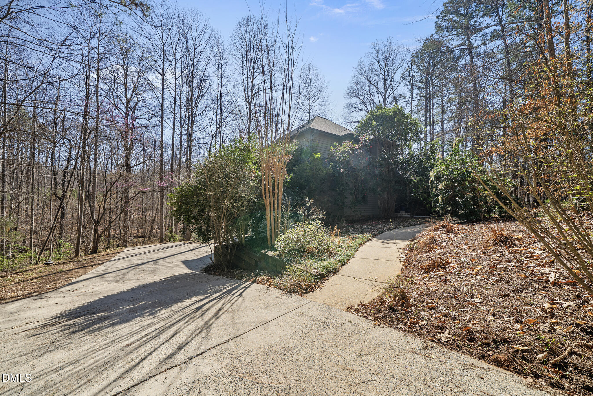 5306 Taproot Lane Durham, NC 27705 - Photo 3 of 7 a view of a street with trees on both side of it