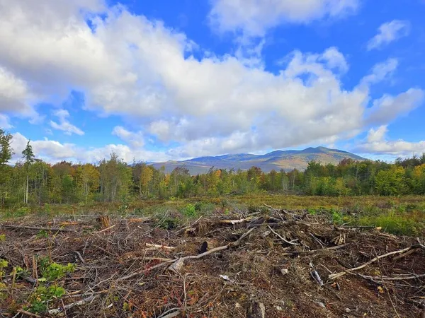 $219,900 | Lot 45 Tory Hill Road, Phillips, ME 04966