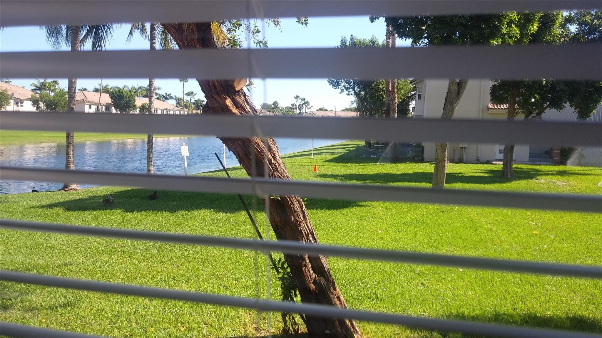 2731 Southeast 12th Road, Unit 105 Homestead, FL 33035 - Photo 12 of 14 Photo 12