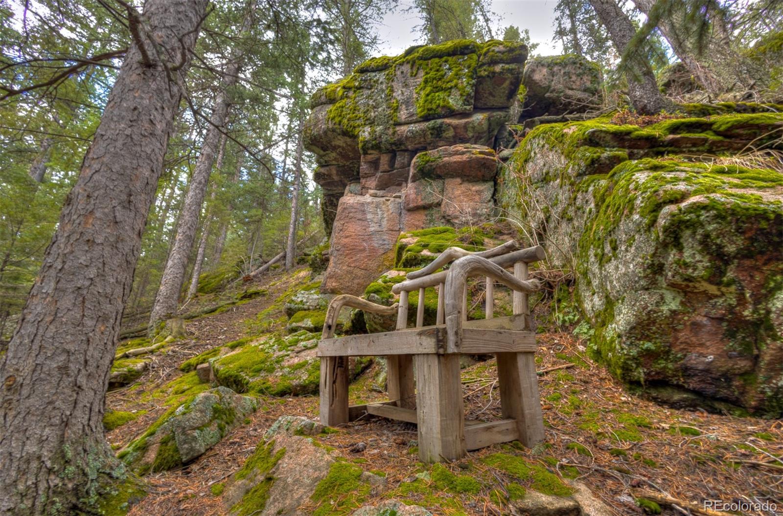 8116 South Brook Forest Road Evergreen, CO 80439 - Photo 11 of 18 a view of a backyard