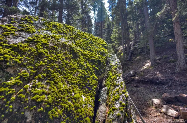 a view of an outdoor space and a yard