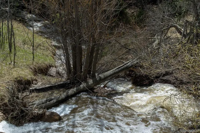 a view of a road with a trees