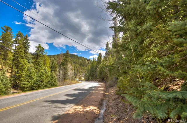 a view of a yard with a tree
