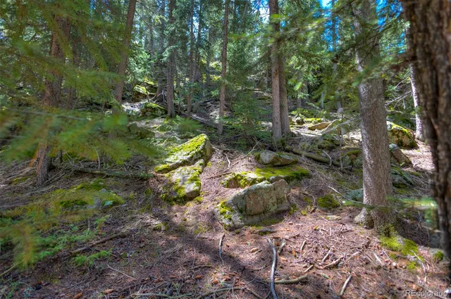 a view of outdoor space and garden