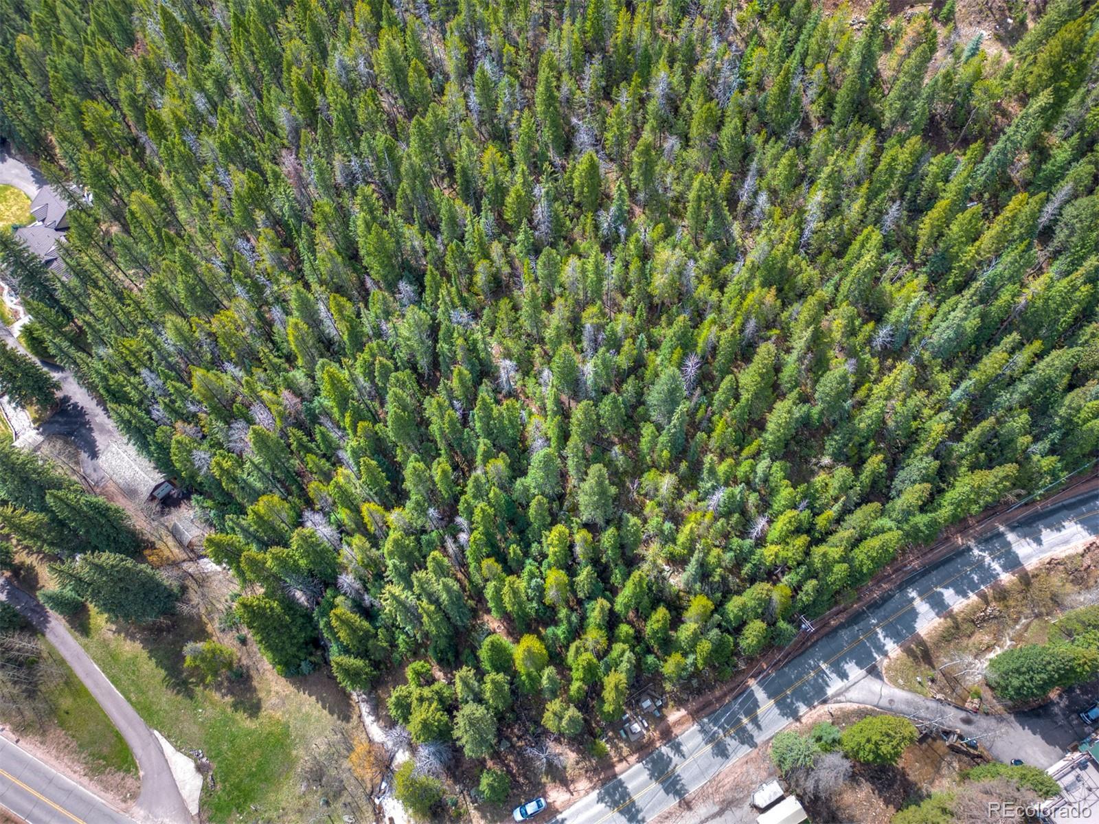 8116 South Brook Forest Road Evergreen, CO 80439 - Photo 6 of 18 a backyard of a house with lots of green space