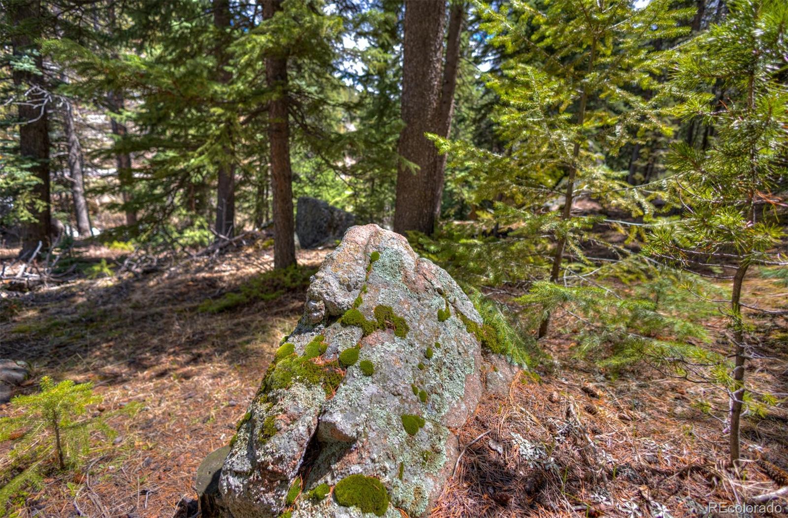 8116 South Brook Forest Road Evergreen, CO 80439 - Photo 8 of 18 a backyard of a house