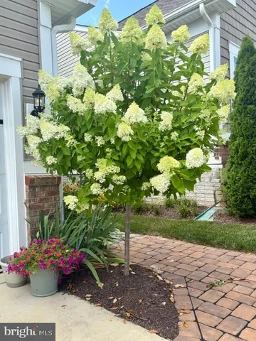 $759,900 | 22010 Boneset Way, Germantown, MD 20876